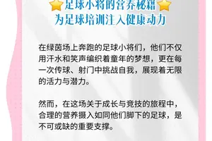 前锋如何通过营养补充提高体能:科学与实践的完美结合